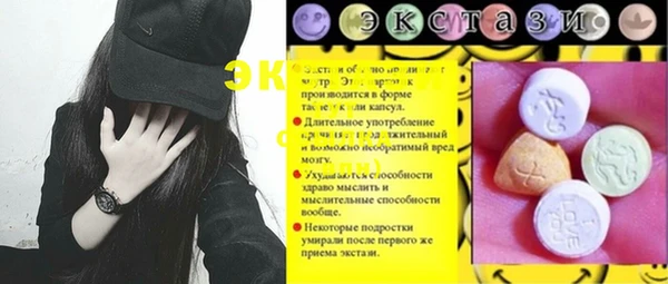 спиды Богородицк