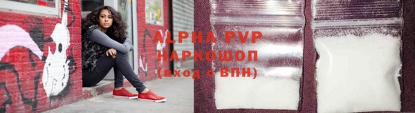 стаф Беломорск