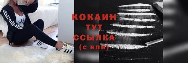 спиды Богородицк