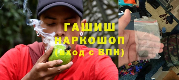 спиды Богородицк