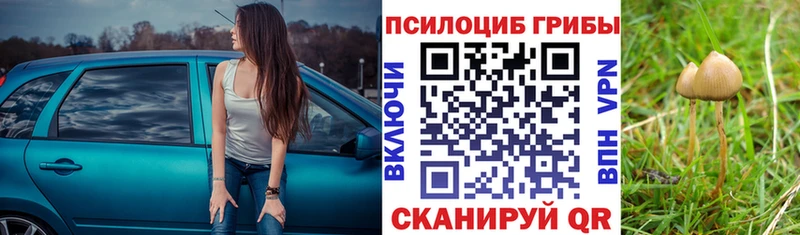 сайты даркнета формула Полесск Галлюциногенные грибы ЛСД